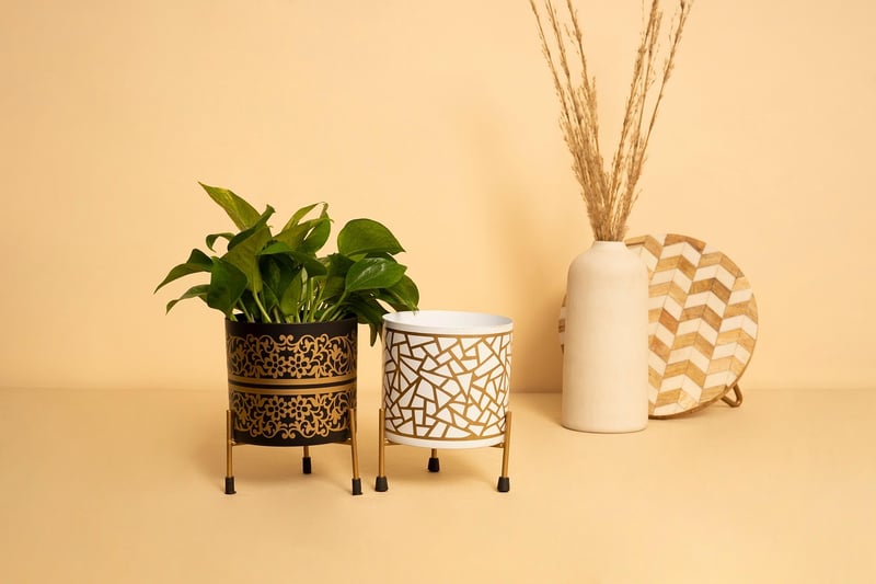 Upcycle Planters